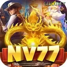 Nv77